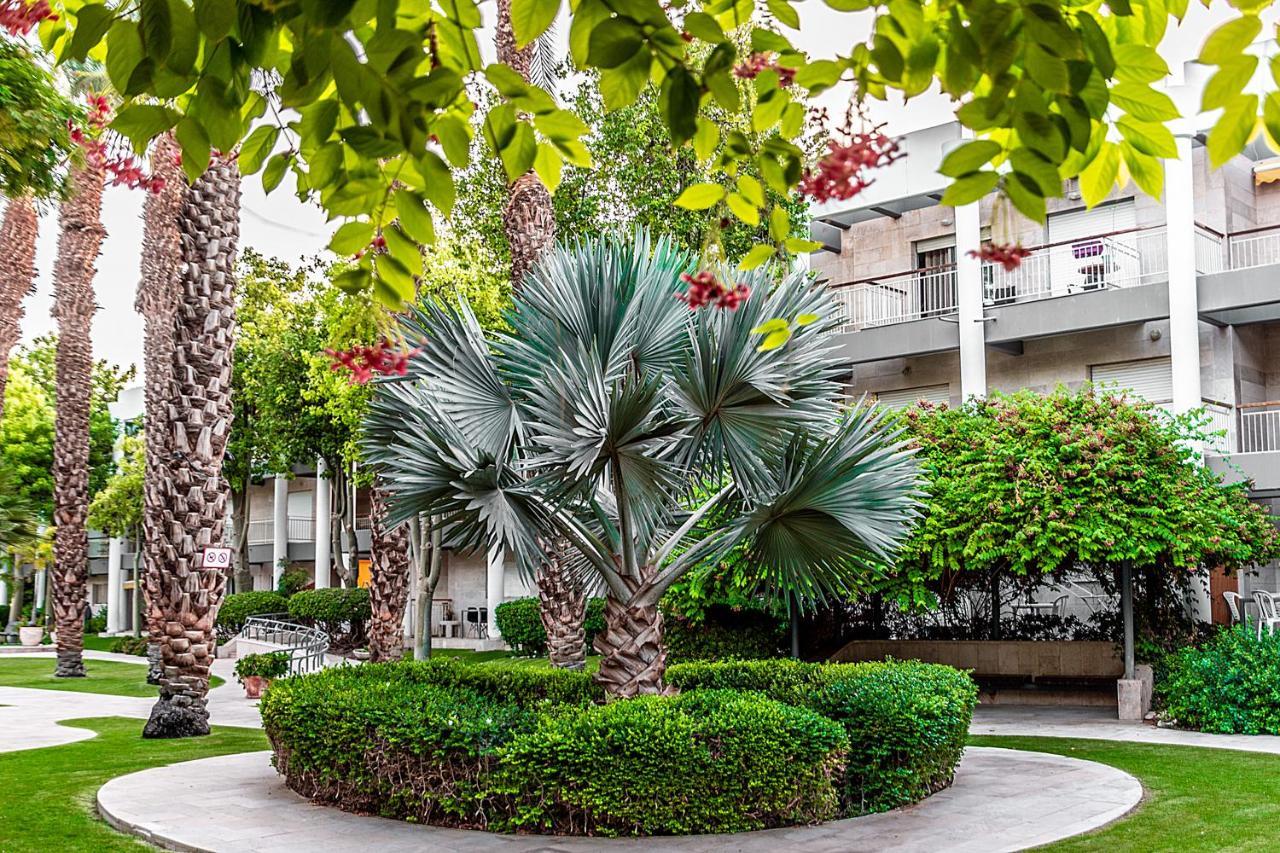 Апартаменты דירת גן פונה לבריכה - Pool Garden View Эйлат Экстерьер фото